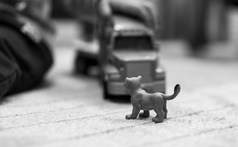 Każdy facet posiadający swoje cztery kółka i nie tylko , fantazjuje by jego wóz czy jednoślad wyglądały jak najlepiej.