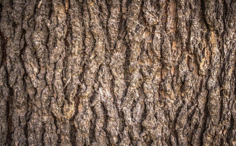 Piękny oraz {zadbany ogród to nie lada wyzwanie, zwłaszcza jak jego pielęgnacją zajmujemy się sami.