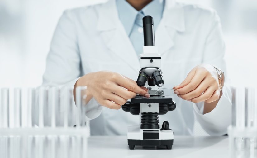 Studia środowiskowe stanowią Klucz do Zabezpieczenia Naszej Planety