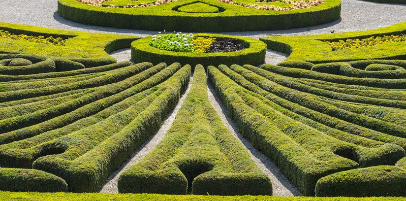 W jaki sposób zaprojektować przydomowy teren? Kompleksowy przewodnik dla pasjonatów architektury krajobrazu